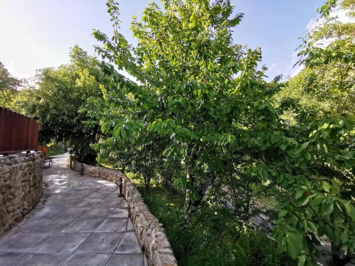 Villa Marel Trefacio Buitenkant foto